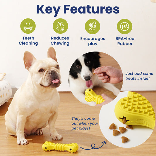 A cute dog sits next to a yellow dog chew toy designed for dental cleaning and play with treat options highlighted in the image.