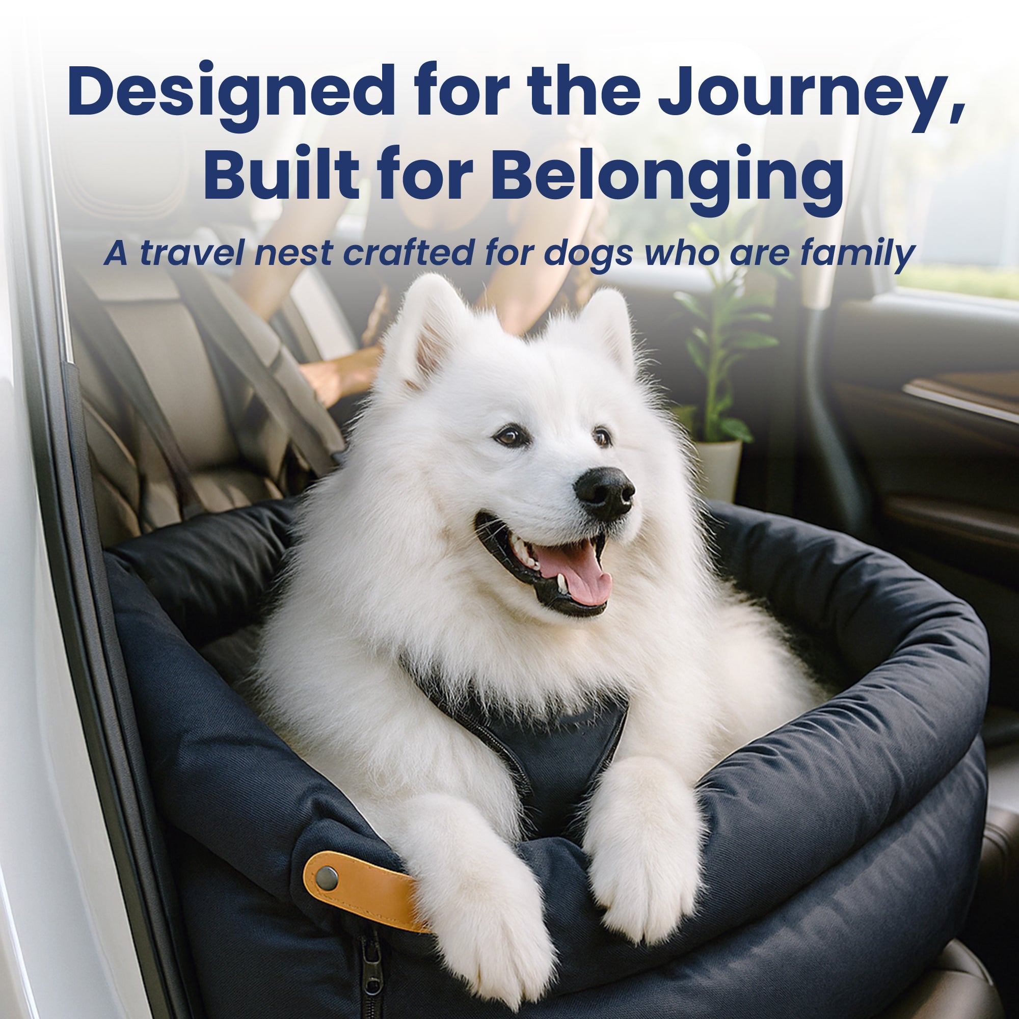 PawsPik® Ultra Large Premium 2-in-1 Convertible Travel Dog Bed & Car S