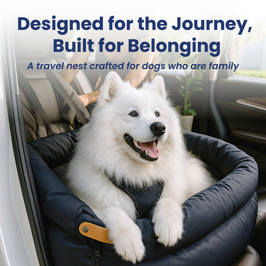 A happy Samoyed dog sits in a cozy dog travel bed with text highlighting comfort for family dogs.