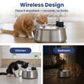 Load image into Gallery viewer, PawsPik® Stainless Steel Battery-Operated Dog & Cat Water Fountain, 4-L
