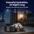 Load image into Gallery viewer, PawsPik® Stainless Steel Battery-Operated Dog & Cat Water Fountain, 4-L
