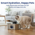 Load image into Gallery viewer, PawsPik® Stainless Steel Battery-Operated Dog & Cat Water Fountain, 3.2-L
