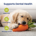 Load image into Gallery viewer, PawsPik® Carrot Natural Rubber Dog Chew Toy
