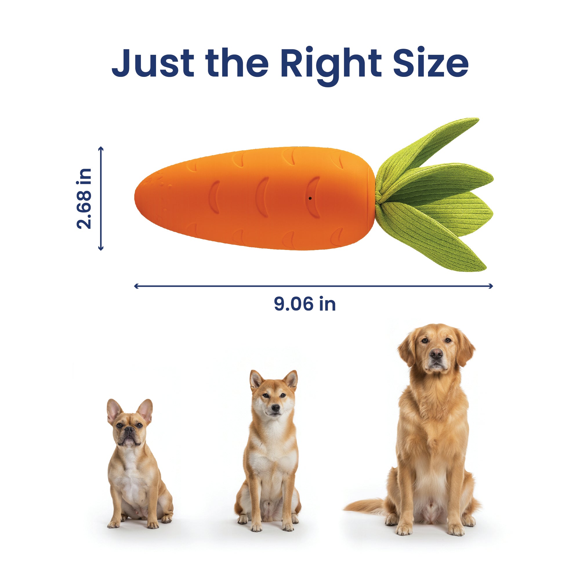 PawsPik® Carrot Natural Rubber Dog Chew Toy