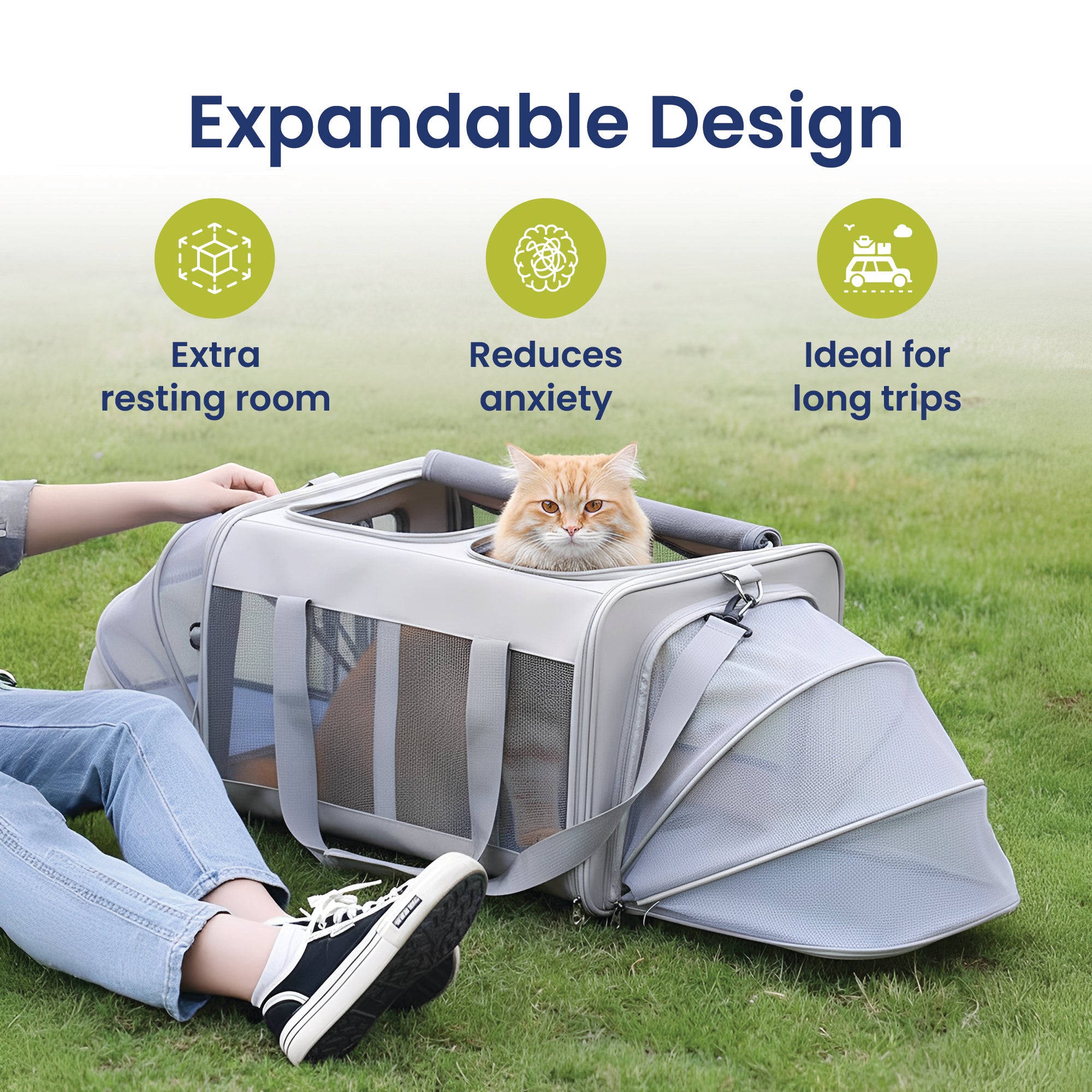 PawsPik® Portable Dual-Pet Dog & Cat Carrier, Light Gray