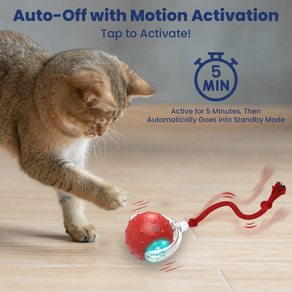PawsPik® Chirp & Chase Motion Activated Cat Ball with LED Lights, Red
