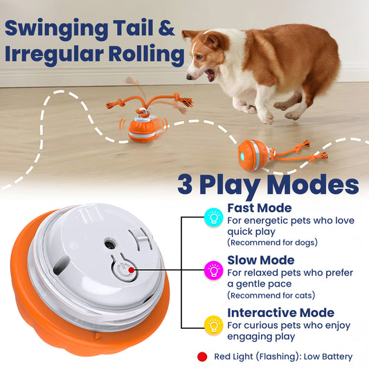 PawsPik® Rope Runner Interactive Squeaky Rechargeable Small Dog Ball & Rope Toy
