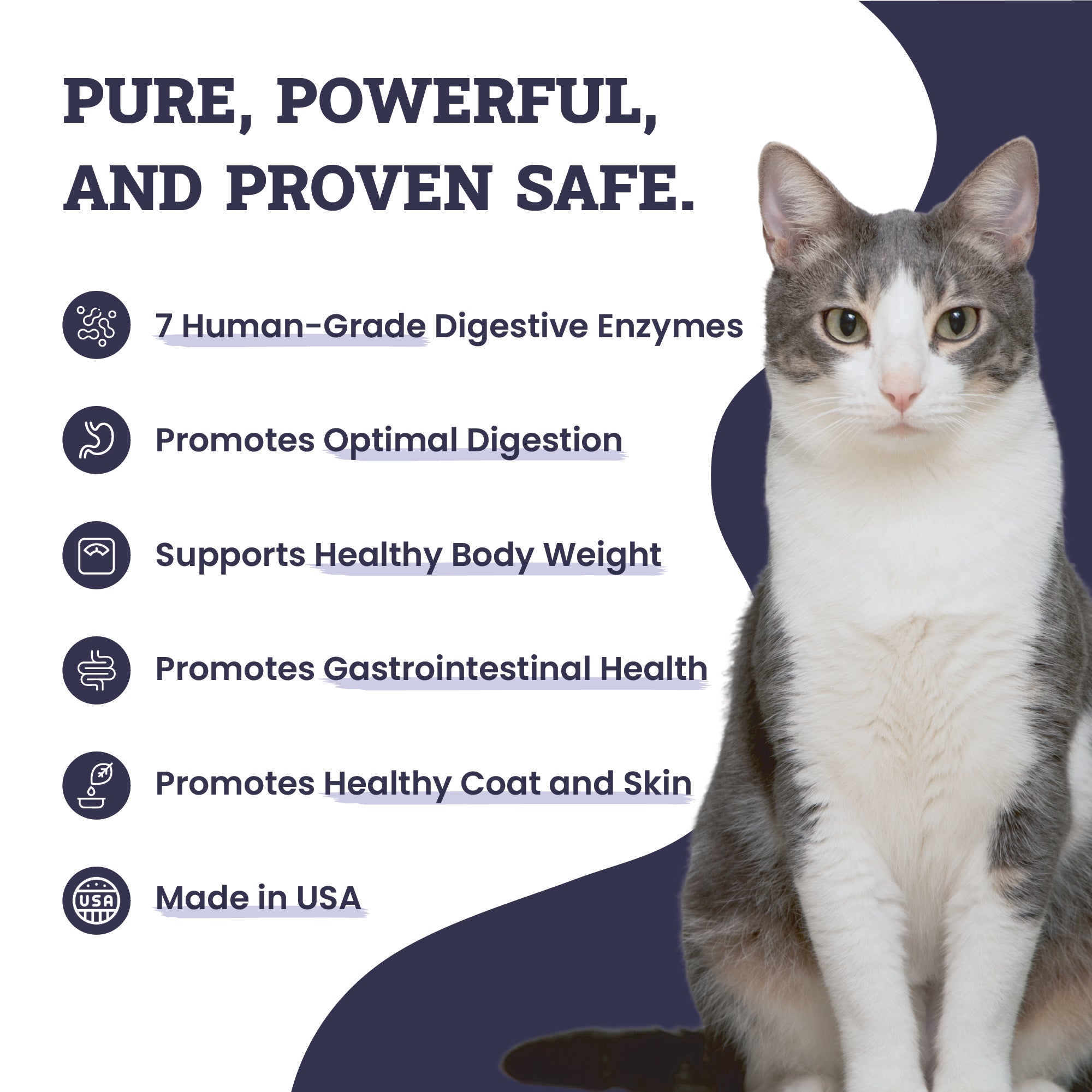 Artisanal Paws™ Digestive Enzyme Support Formula Powder Supplement for Cats, 3.8-oz