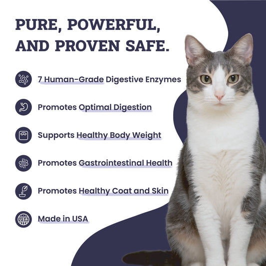 Artisanal Paws™ Digestive Enzyme Support Formula Powder Supplement for Cats, 3.8-oz