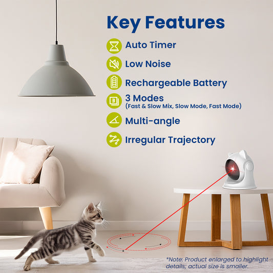 A playful kitten investigates a cat laser toy, highlighting features like auto timer, rechargeable battery, and multiple modes.