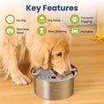 Load image into Gallery viewer, A golden retriever drinks from a stainless steel dog water bowl featuring key benefits: non-slip, portable, and promotes slow drinking.
