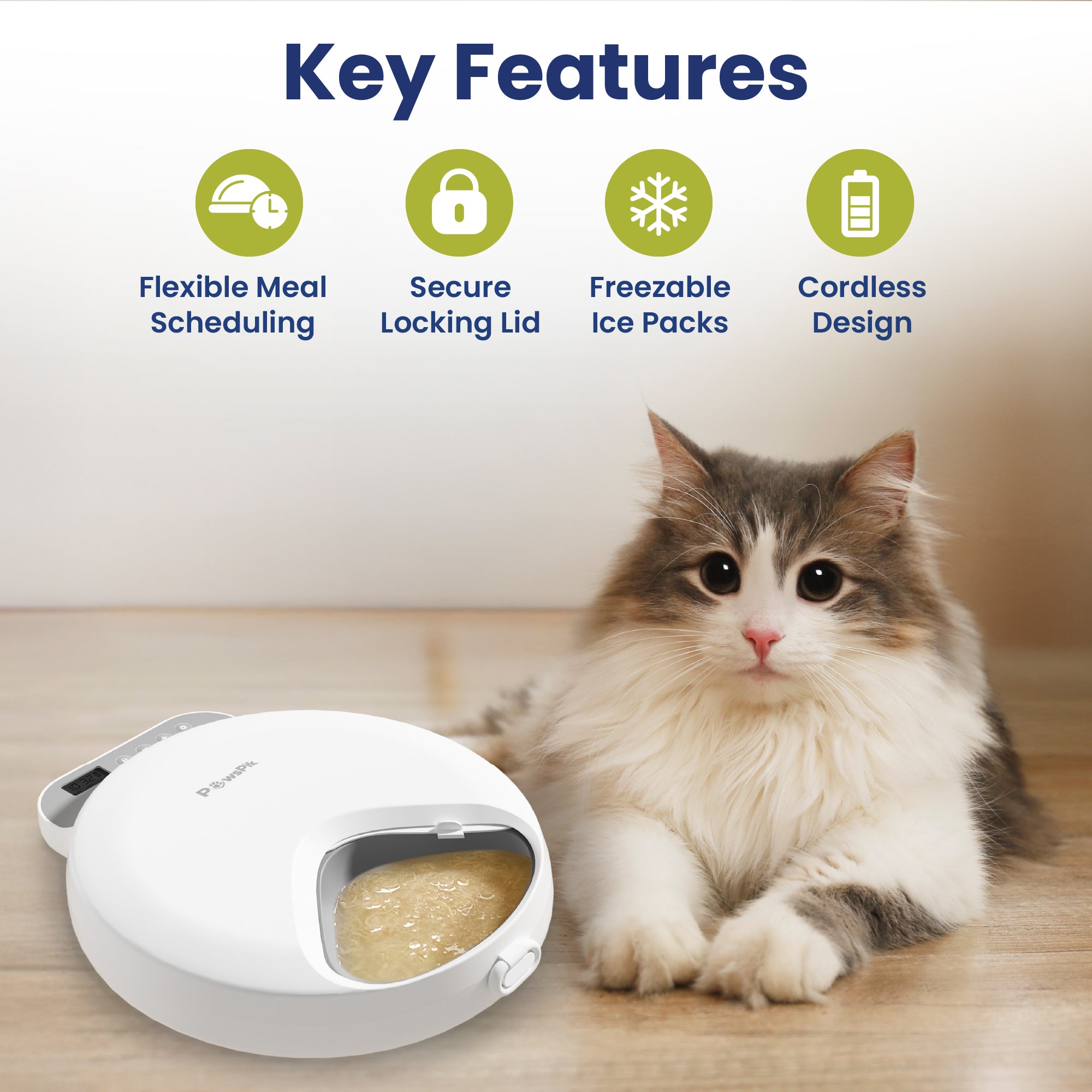 A fluffy cat sits beside a white cat feeder, showcasing its features: flexible scheduling, secure lid, freezer packs, and cordless design.