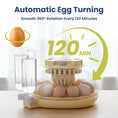 Load image into Gallery viewer, PawsPik® Automatic 12 Egg Smart Incubator
