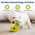 Load image into Gallery viewer, PawsPik® Interactive Wobble Tumbler Treat Dispenser Small Dog & Cat Toy

