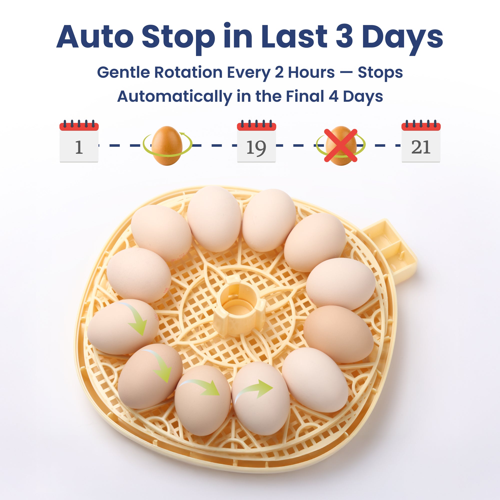 PawsPik® Automatic Egg Smart Incubator