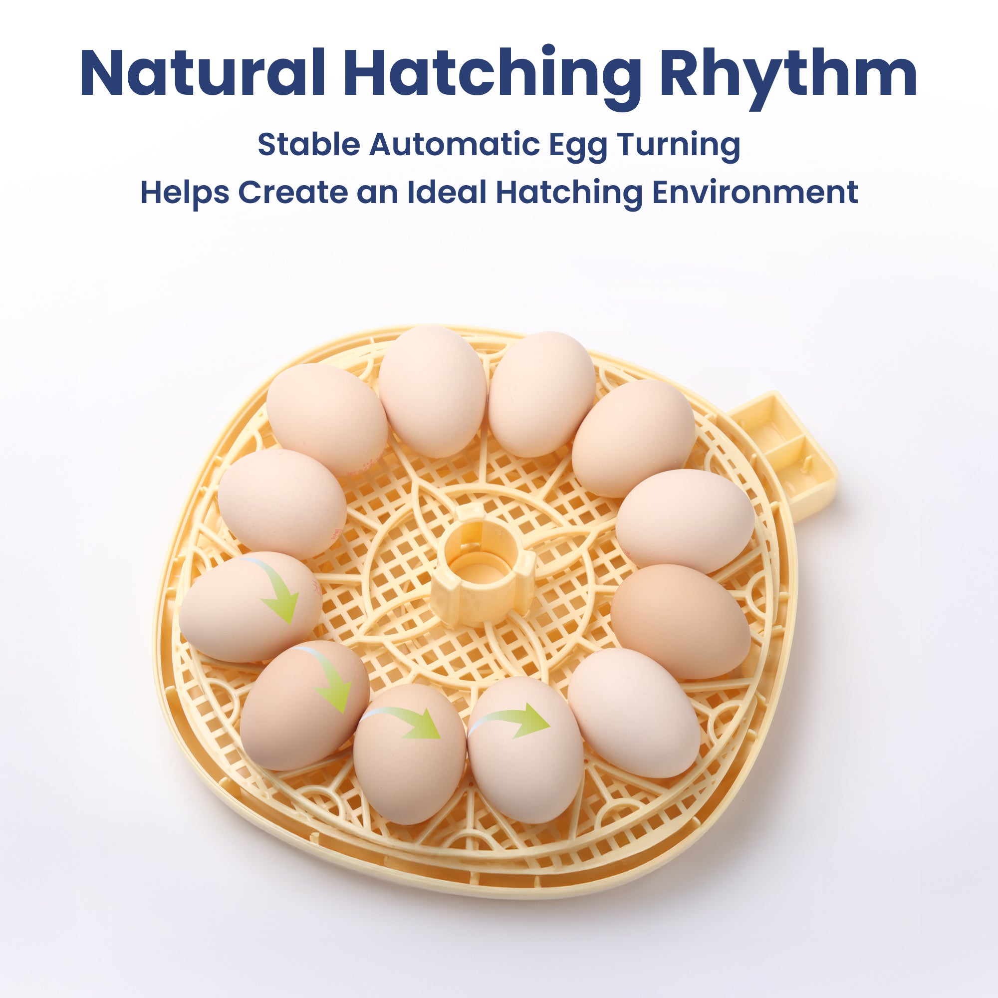 PawsPik® Automatic 12 Egg Smart Incubator