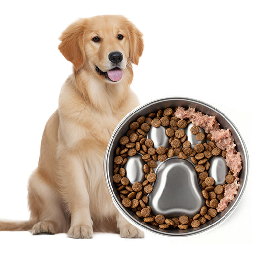 A fluffy dog sits beside a stainless steel slow feeder dog bowl filled with dry food and a small portion of wet food shaped like a paw print.