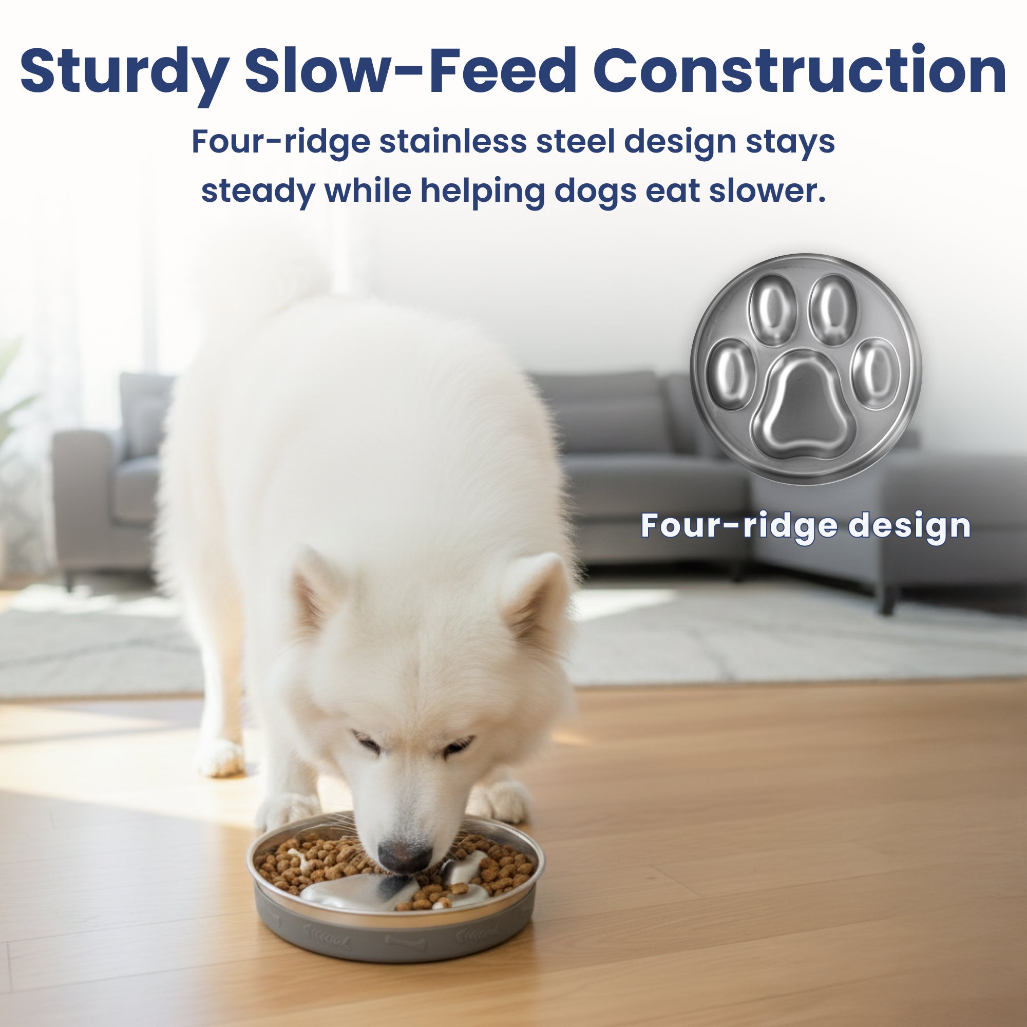 A Samoyed dog eats from a four-ridge stainless steel slow feed dog bowl on a wooden floor in a modern living room.