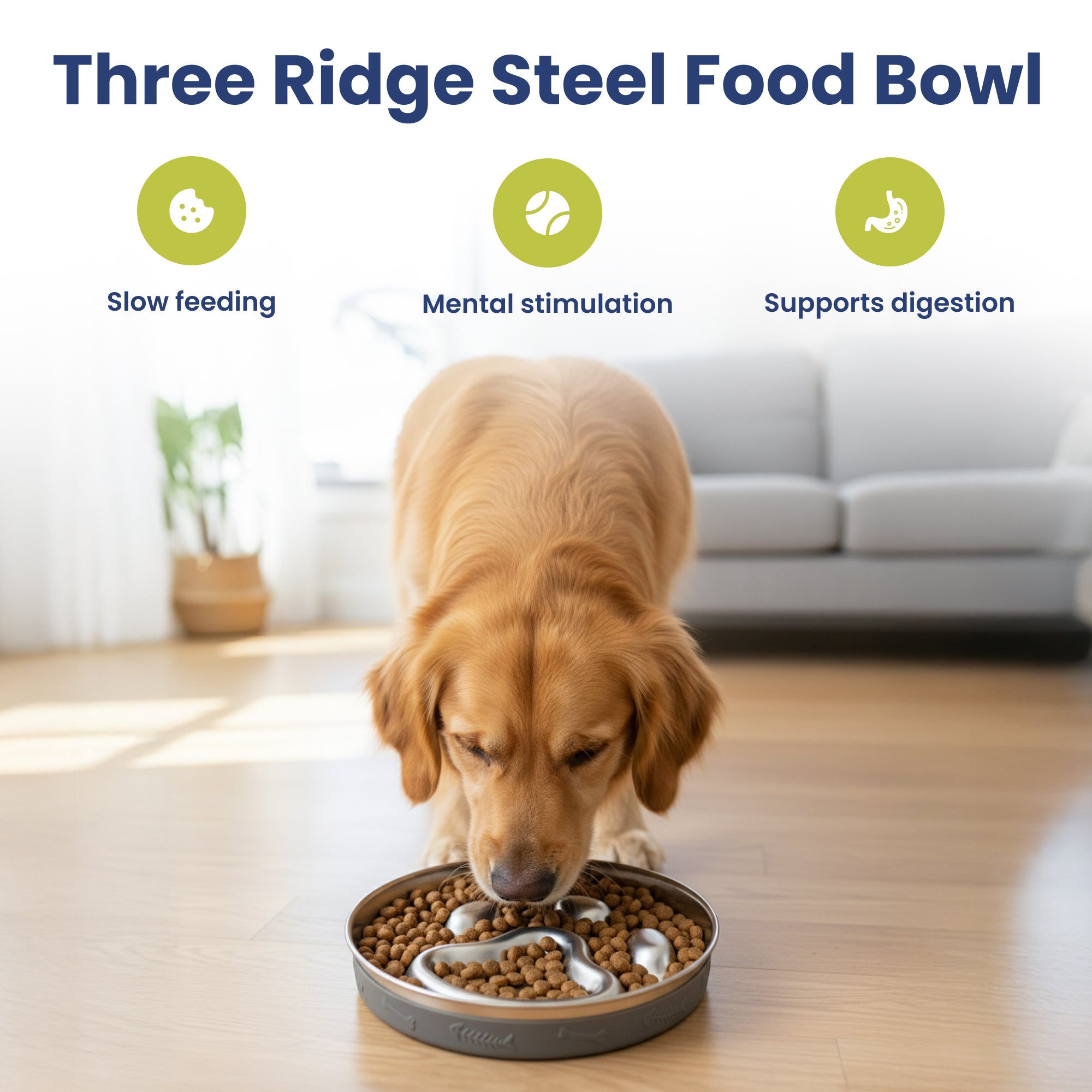 A golden retriever eats from a three-ridge steel slow feed bowl designed for slow feeding, mental stimulation, and better digestion.