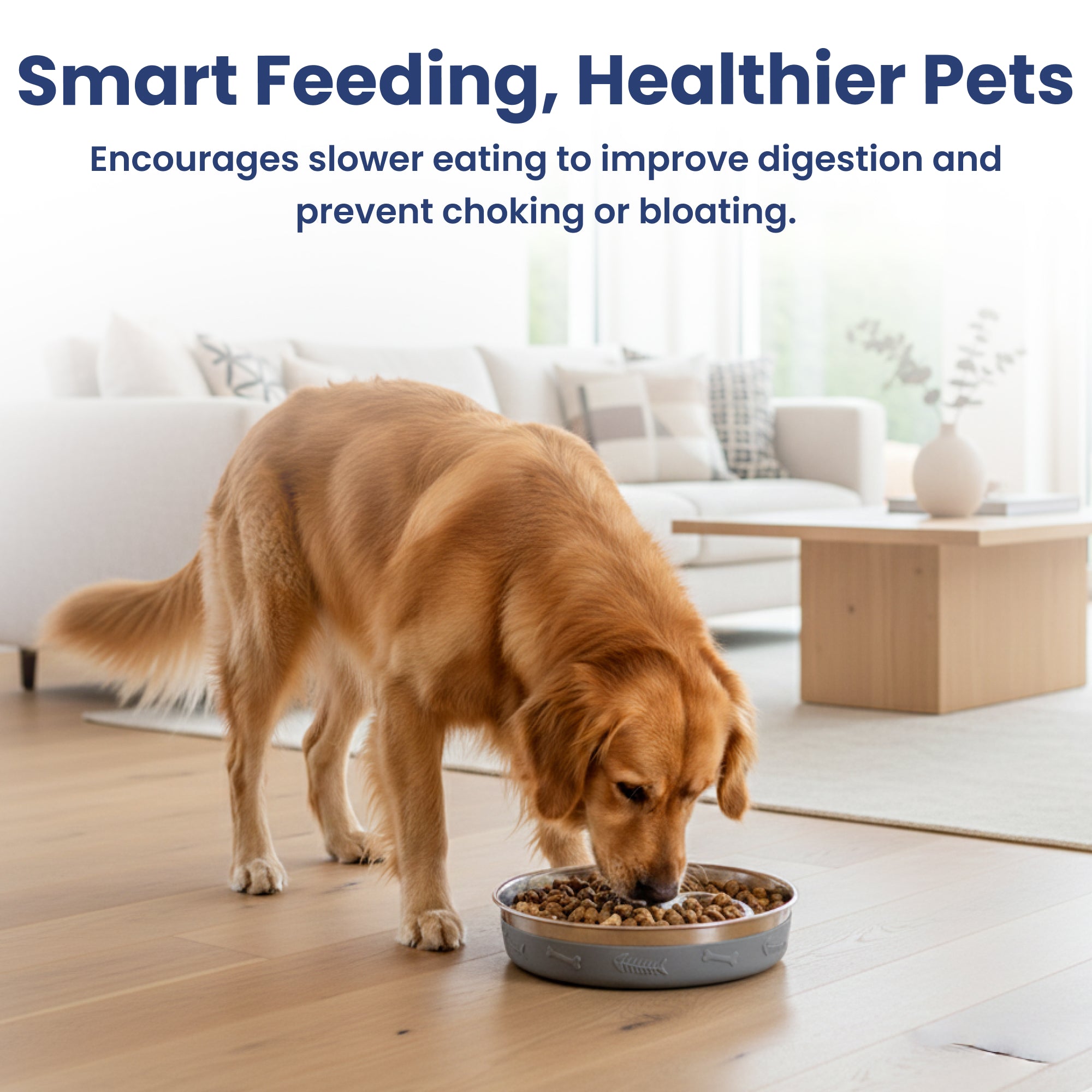 A golden retriever is eating from a slow eating dog bowl in a modern living room, promoting healthy digestion and reducing choking risks.