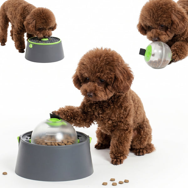 PawsPik® 3-in-1 Multi-Purpose Treat, Feed & Lick Station Dog Feeder, Black, Small