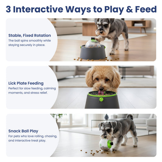 PawsPik® 3-in-1 Multi-Purpose Treat, Feed & Lick Station Dog Feeder, Black, Small