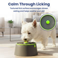 Load image into Gallery viewer, PawsPik® 3-in-1 Multi-Purpose Treat, Feed & Lick Station Dog Feeder, Black, Small
