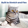 Load image into Gallery viewer, PawsPik® SoftStetch Breakaway Cat Collar
