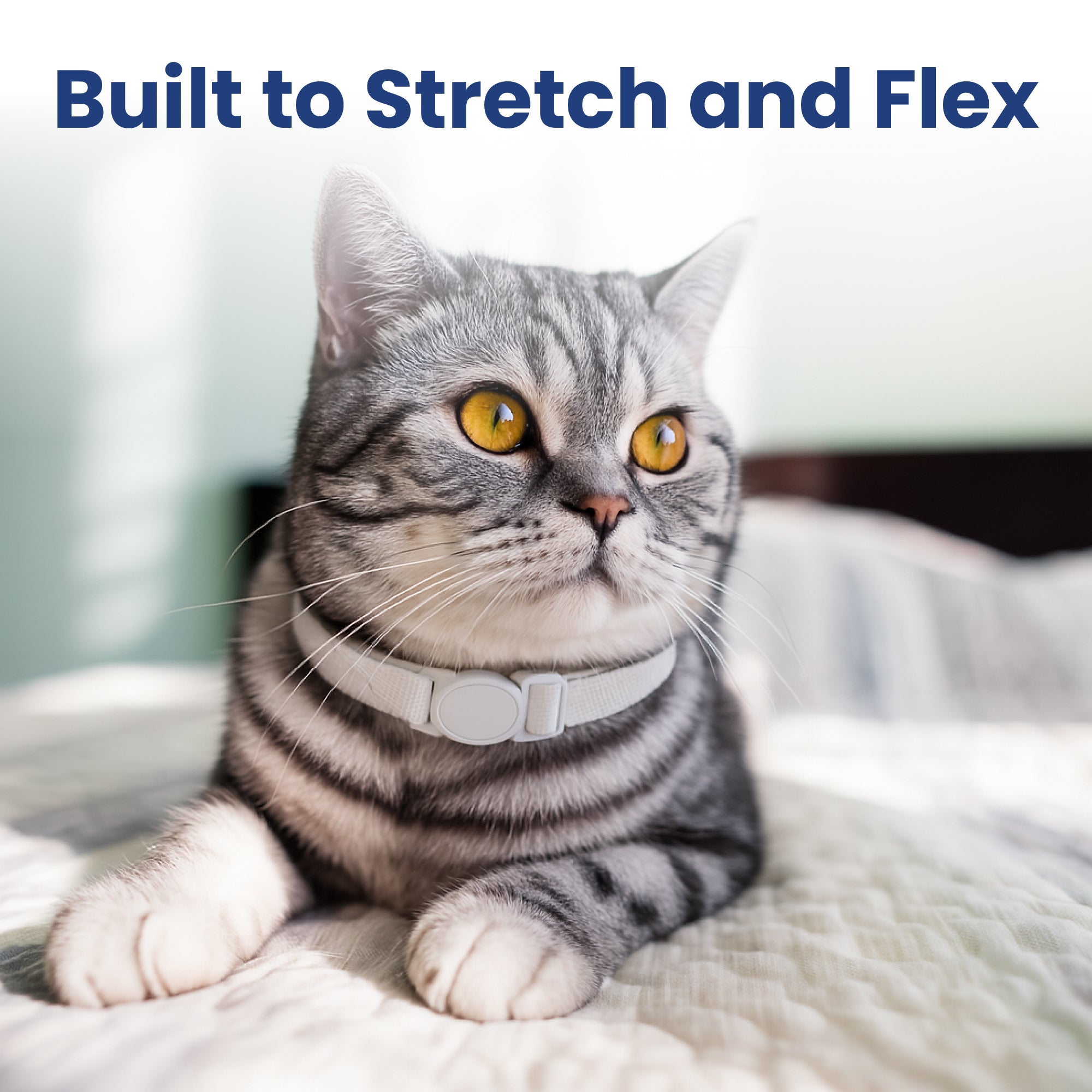 PawsPik® SoftStetch Breakaway Cat Collar