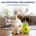 Load image into Gallery viewer, PawsPik® Interactive Wobble Tumbler Treat Dispenser Small Dog & Cat Toy
