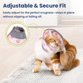 Load image into Gallery viewer, A cat wearing a pink adjustable cat cone and scratching its ear while sitting on a rug, showcasing the collar's secure fit.
