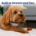 Load image into Gallery viewer, PawsPik® SecureFit Dog Collar
