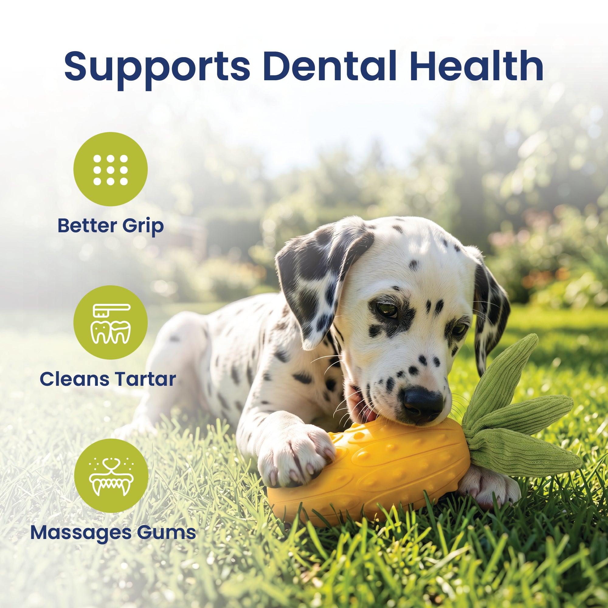 PawsPik® Pineapple Natural Rubber Dog Chew Toy