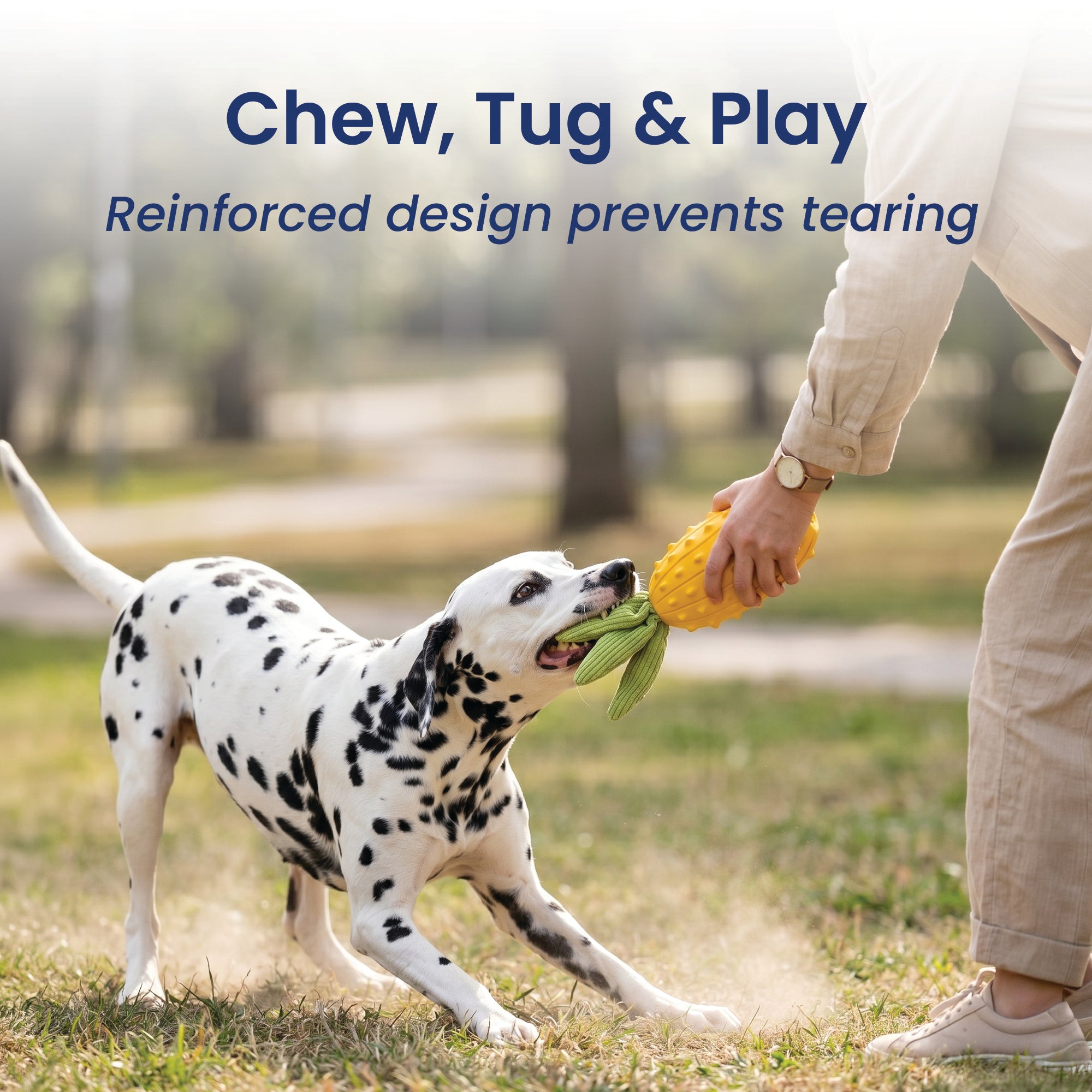 PawsPik® Pineapple Natural Rubber Dog Chew Toy