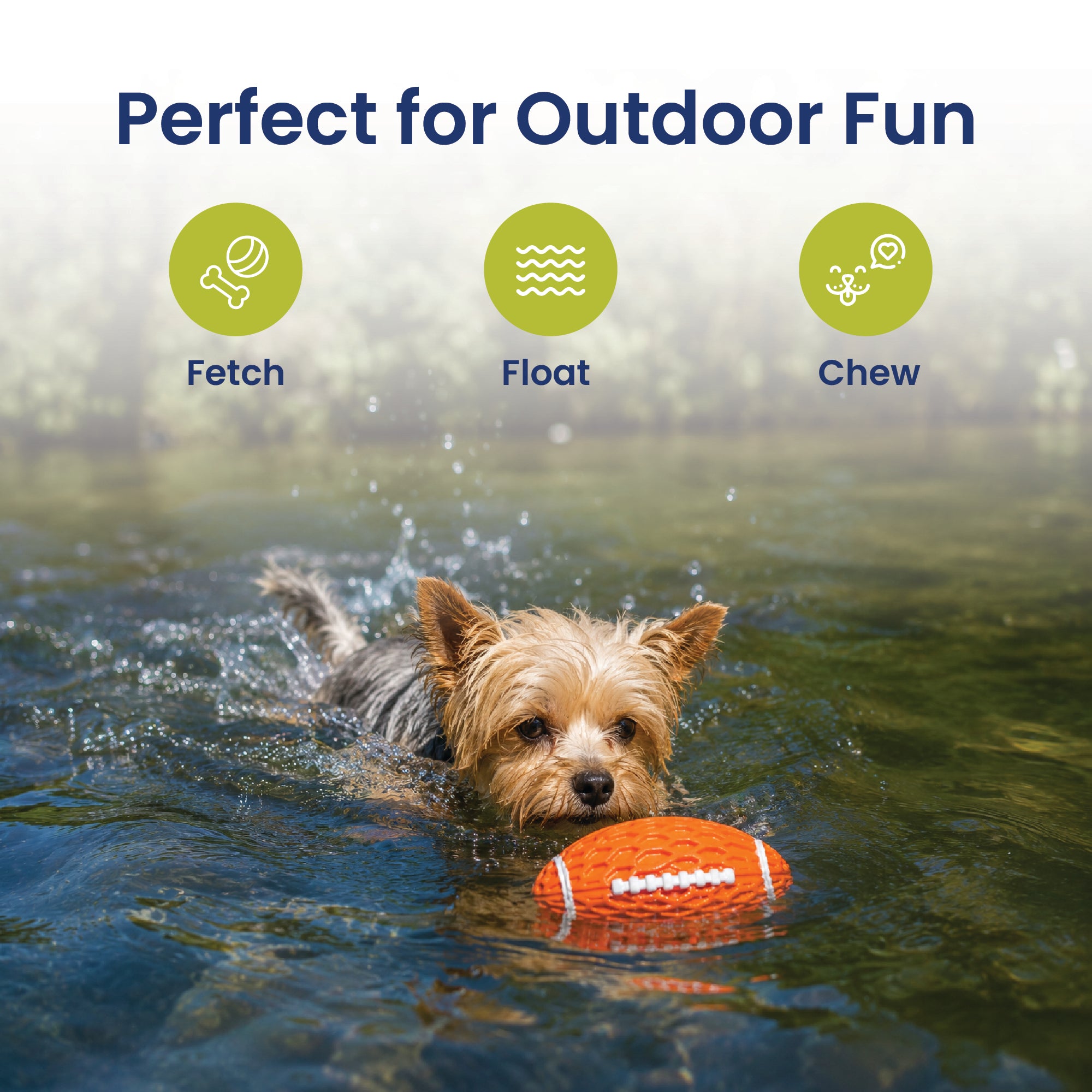 PawsPik® Football Natural Rubber Stuffing-Free Teething Tough Chew Dog Toy, Orange