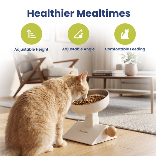PawsPik® Adjustable Angle & Height Elevated Stainless Steel Dog & Cat Bowl