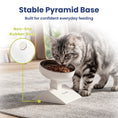 Load image into Gallery viewer, PawsPik® Adjustable Angle & Height Elevated Stainless Steel Dog Bowl
