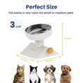 Load image into Gallery viewer, PawsPik® Adjustable Angle & Height Elevated Stainless Steel Dog Bowl
