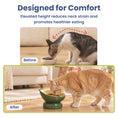 Load image into Gallery viewer, PawsPik® Fresh Picks Holiday Collection Elevated Ceramic Cat Bowl, Avocado, 8-oz
