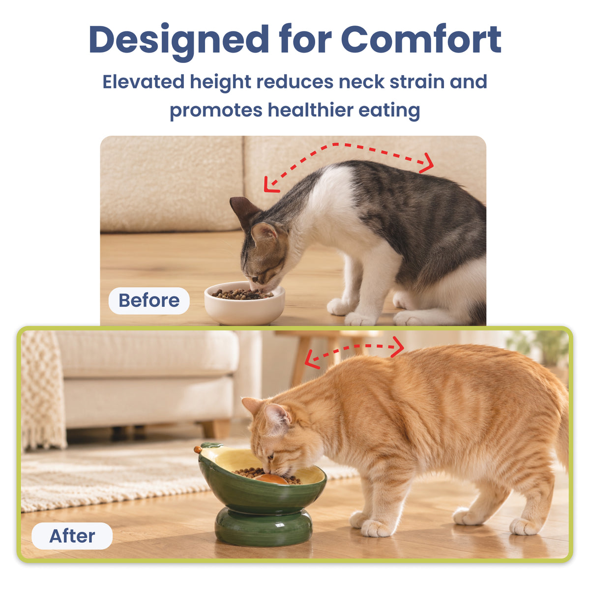PawsPik® Fresh Picks Holiday Collection Elevated Ceramic Cat Bowl, Avocado, 8-oz
