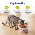 Load image into Gallery viewer, PawsPik® Fresh Picks Holiday Collection Elevated Ceramic Cat Bowl, Strawberry, 8-oz
