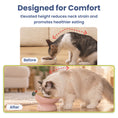 Load image into Gallery viewer, PawsPik® Fresh Picks Holiday Collection Elevated Ceramic Cat Bowl, Peach, 8-oz
