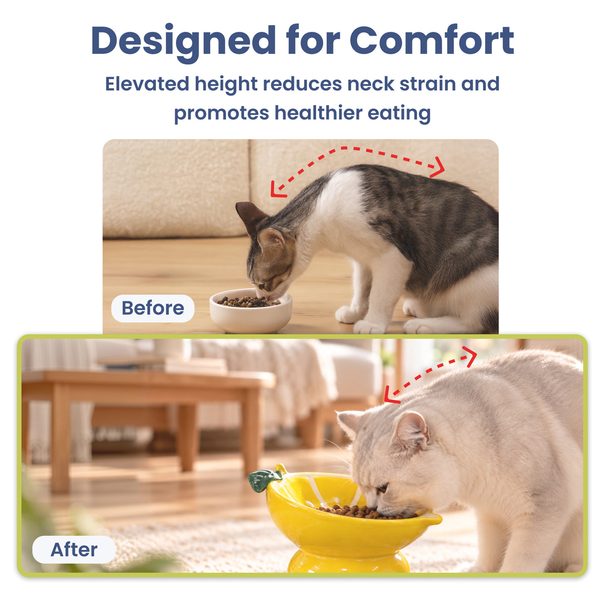 PawsPik® Fresh Picks Holiday Collection Elevated Ceramic Cat Bowl, Lemon, 8-oz