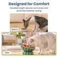 Load image into Gallery viewer, PawsPik® Fresh Picks Holiday Collection Elevated Ceramic Cat Bowl, Watermelon, 8-oz
