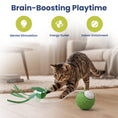 Load image into Gallery viewer, PawsPik® Dragonfly Spinning Ball Electronic Battery-Operated Cat Toy, Green
