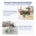 Load image into Gallery viewer, PawsPik® Dragonfly Spinning Ball Electronic Battery-Operated Cat Toy, Green
