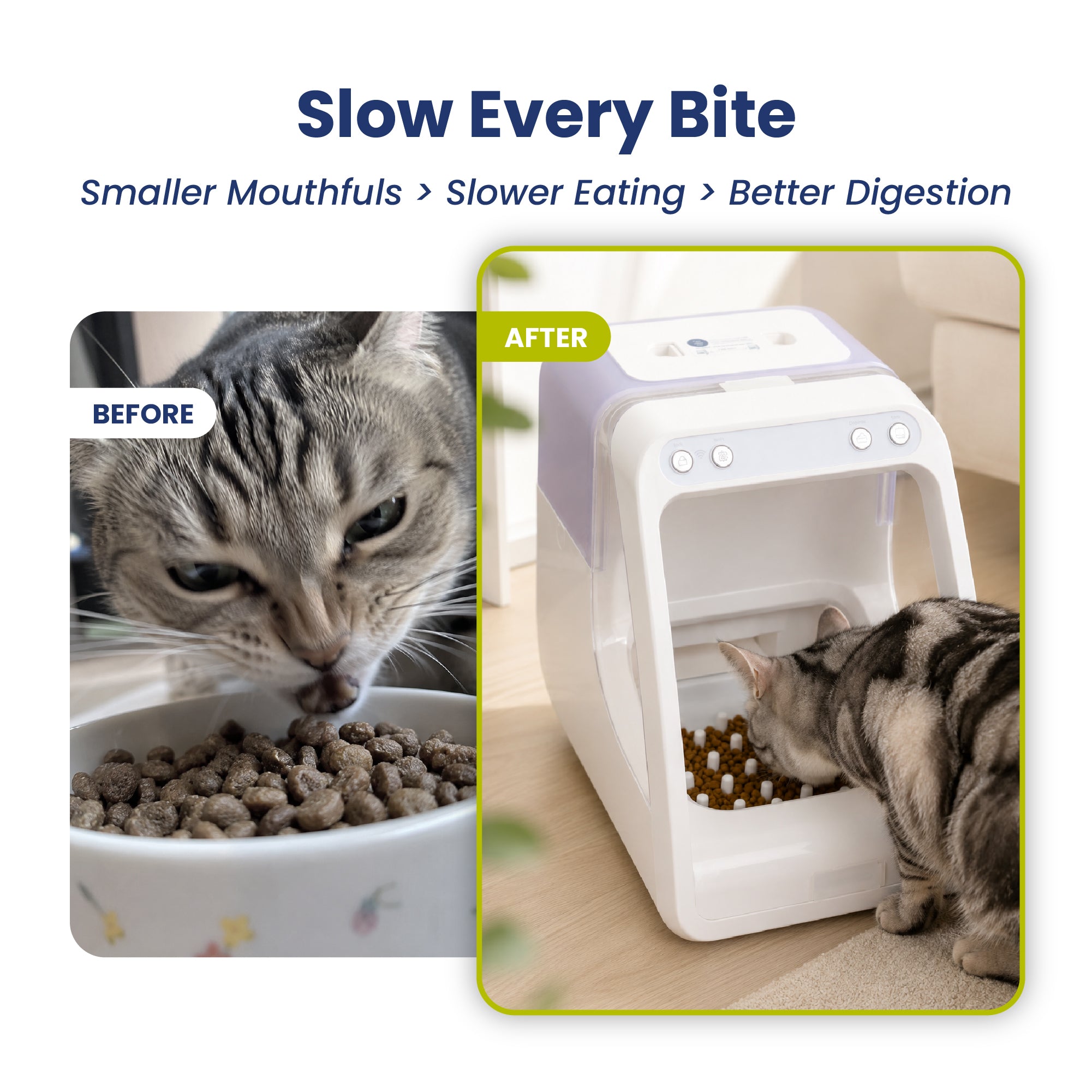 PawsPik® Silicone Slow-Feed Bowl Insert for Automatic Microchip RFID Pet Feeder, 2 ct