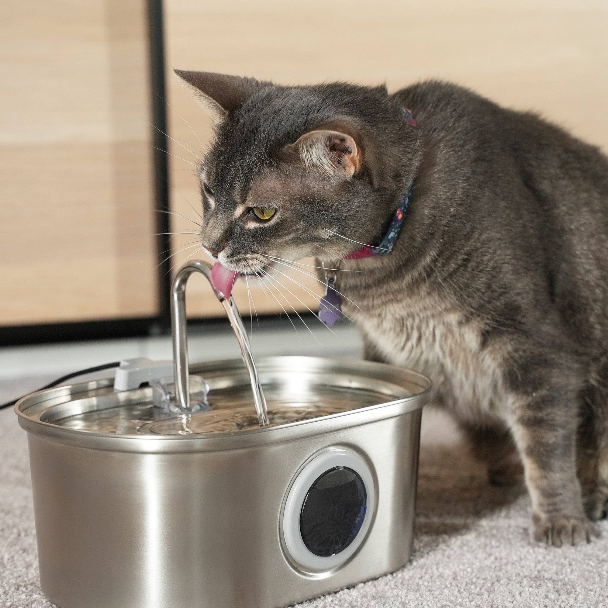 PawsPik® SS-01 Dog & Cat Water Fountain Made with Stainless Steel