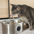 Load image into Gallery viewer, PawsPik® SS-01 Dog & Cat Water Fountain Made with Stainless Steel
