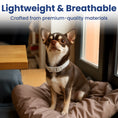 Load image into Gallery viewer, PawsPik® SecureFit Dog Collar
